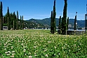 Lago di Como_152